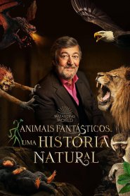 Animais Fantásticos Uma História Natural